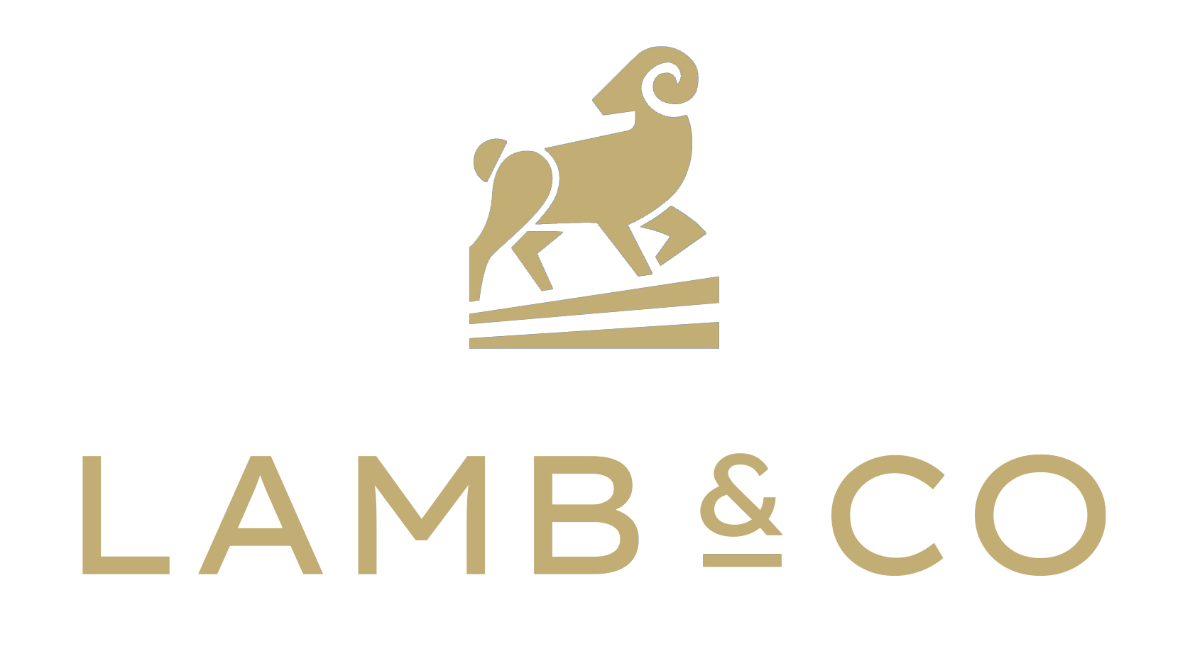 The Company Lane Homes Construction